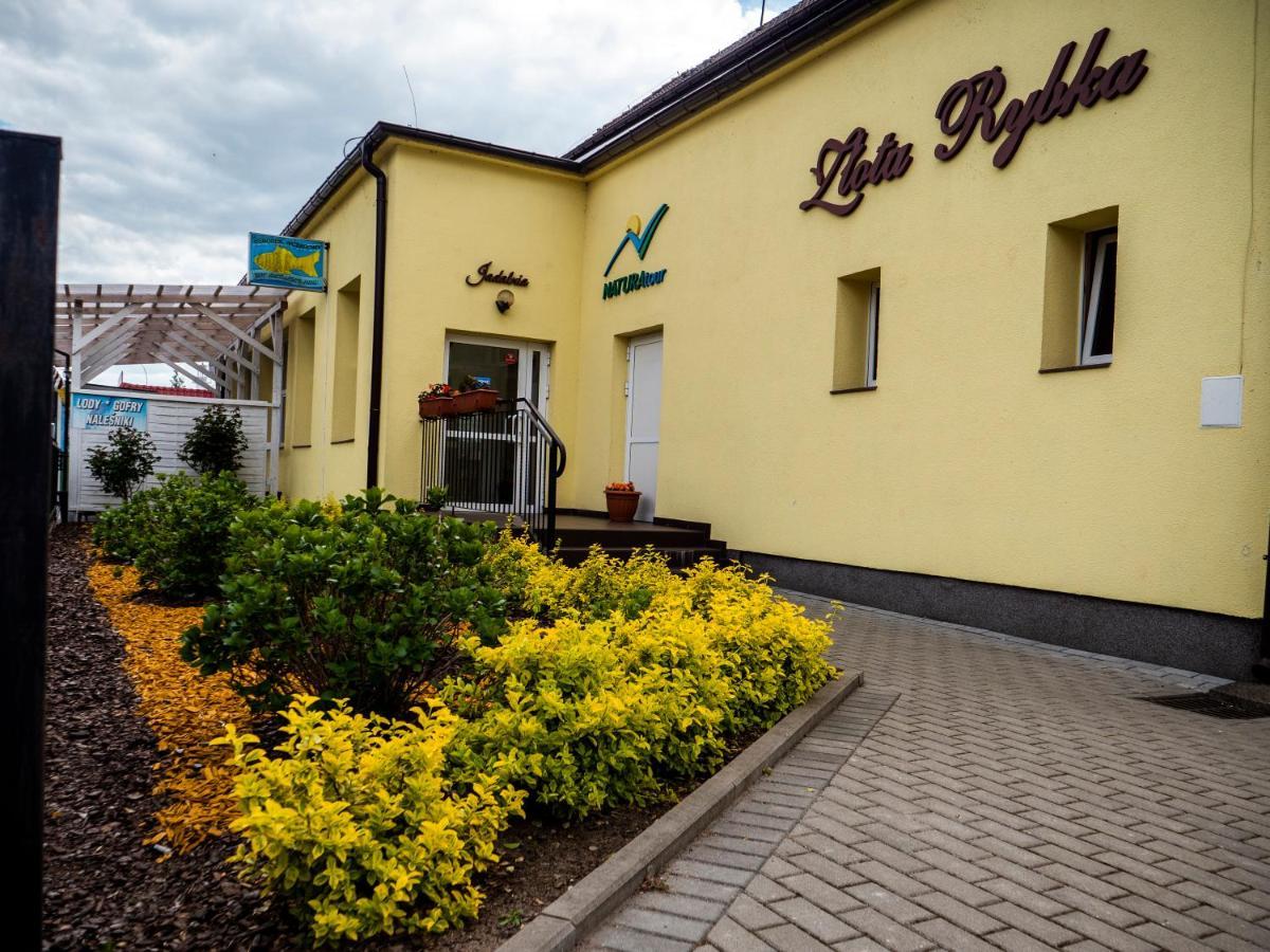 Zlota Rybka Natura Tour Dziwnówek Kültér fotó